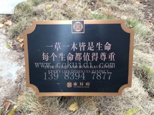 东昇府草地牌