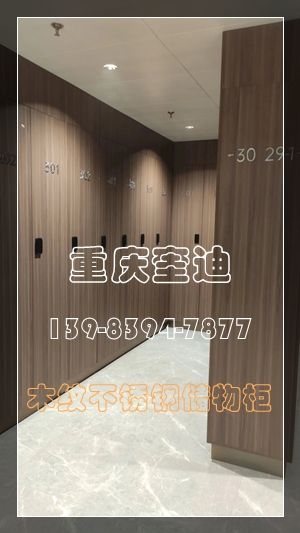 更衣柜/储物柜/不锈钢衣柜/收纳箱柜/信报箱