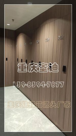 不锈钢木纹更衣柜/木纹衣柜/信报箱储物柜