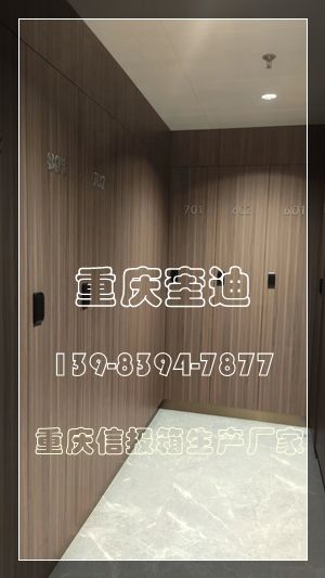 不锈钢木纹储物柜/重庆木纹不锈钢衣柜/信报箱