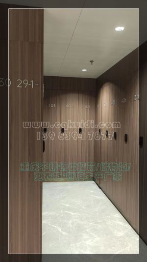 木纹储物箱/木纹更衣柜/不锈钢衣柜